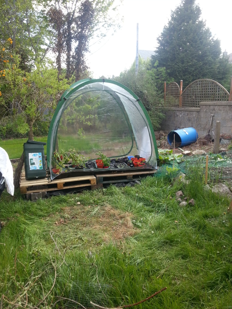 Greenhouse in it's final resting place!!
